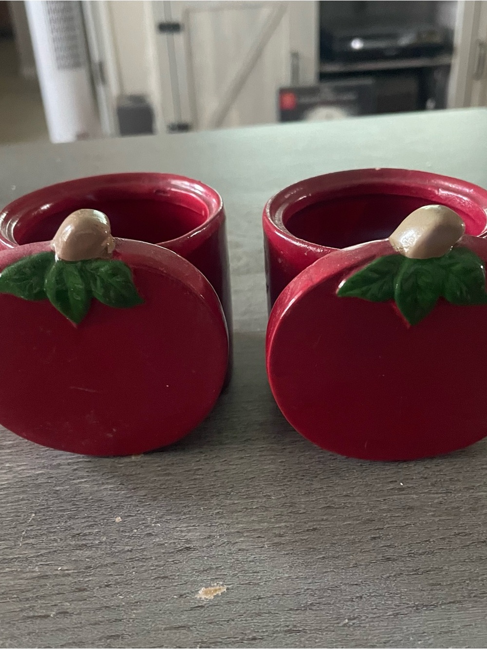 Set of 2 Mini Tomato Plant Pots